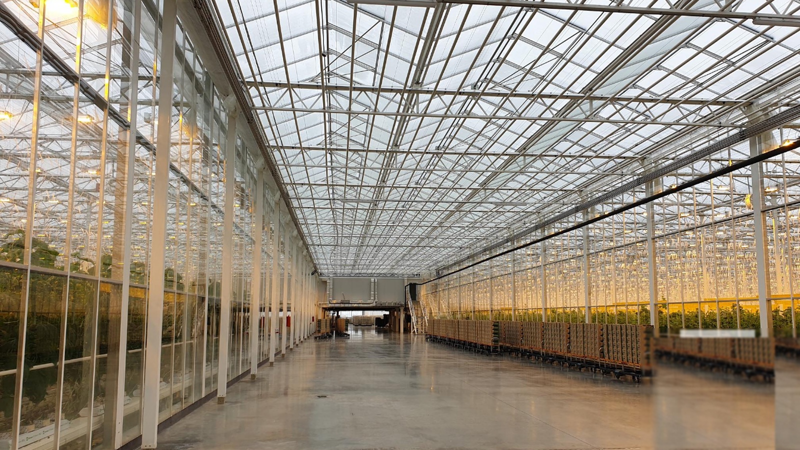 High-tech greenhouse interior showing modern agricultural infrastructure